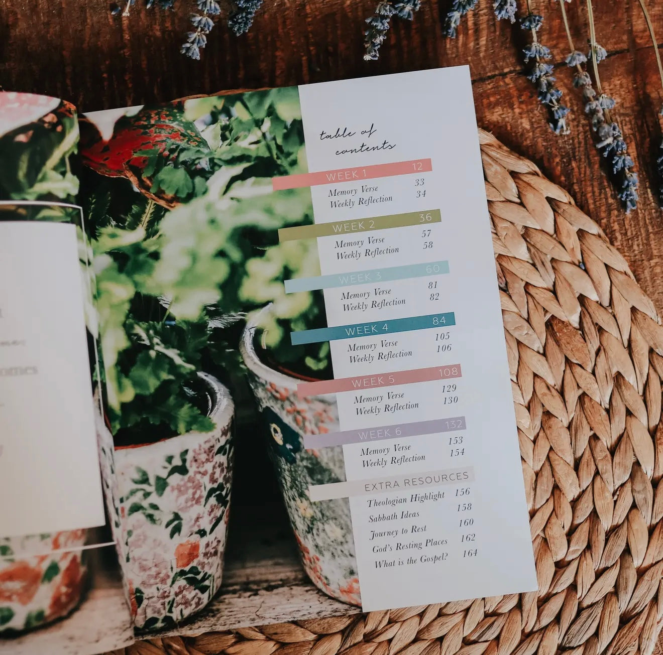 Daily Grace Co: Rest From Eden To Eternity