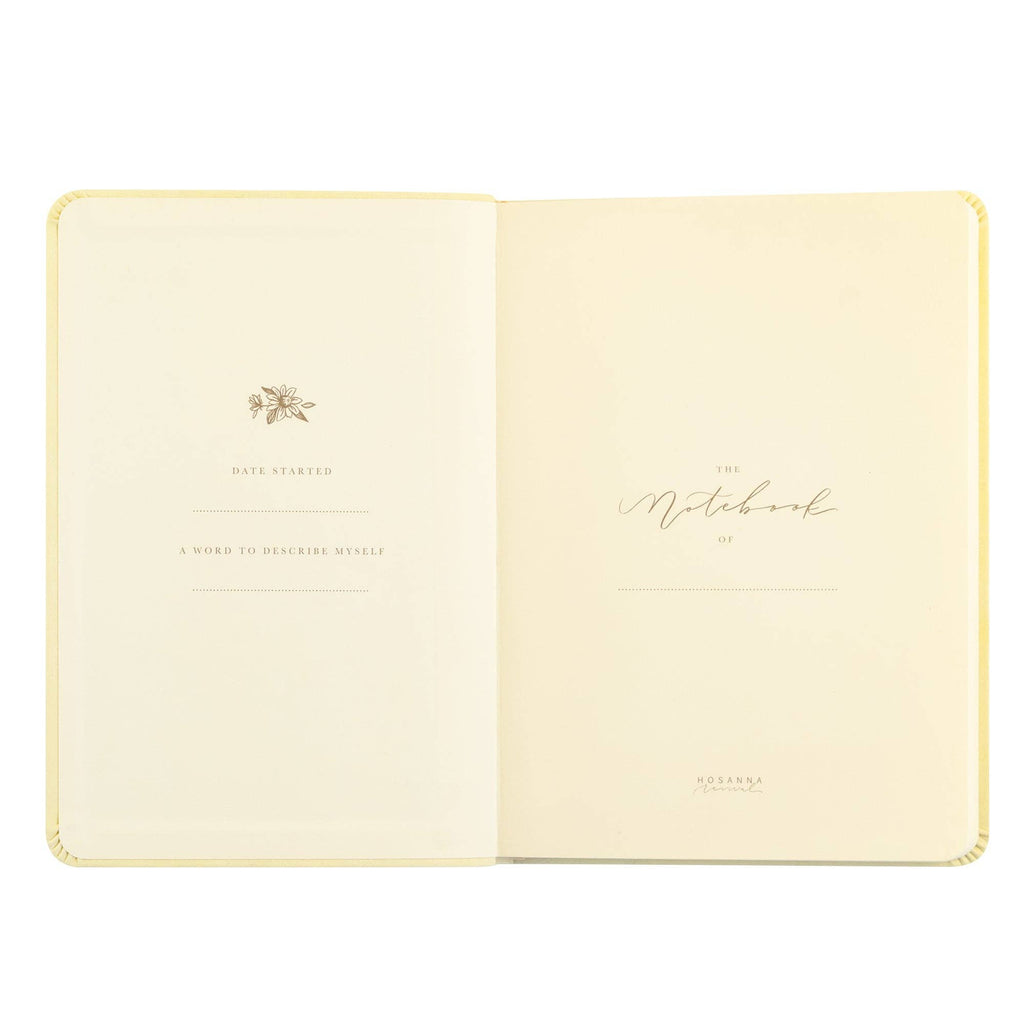 Notebook: Belfast Theme