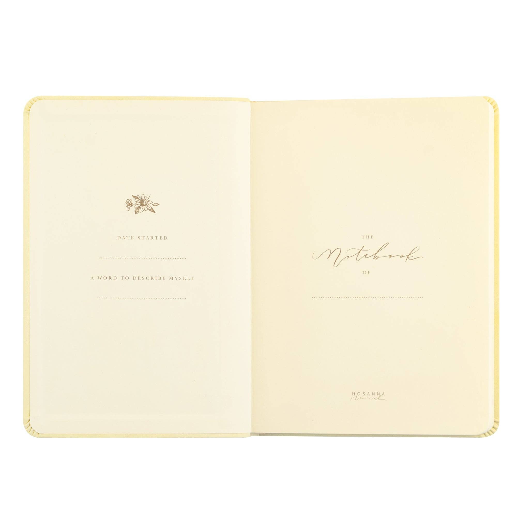 Notebook: Belfast Theme