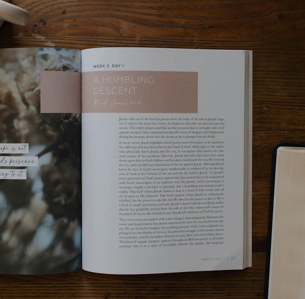 Daily Grace Co: Mercy In The Storm