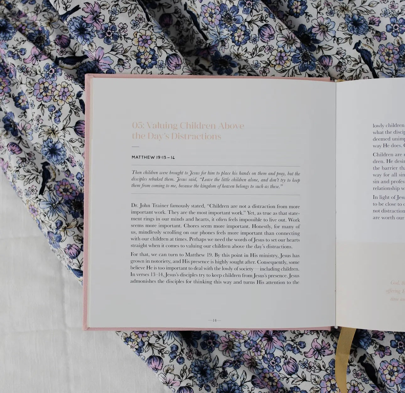 Daily Grace Co. Steadfast Motherhood 60 Day Devotional