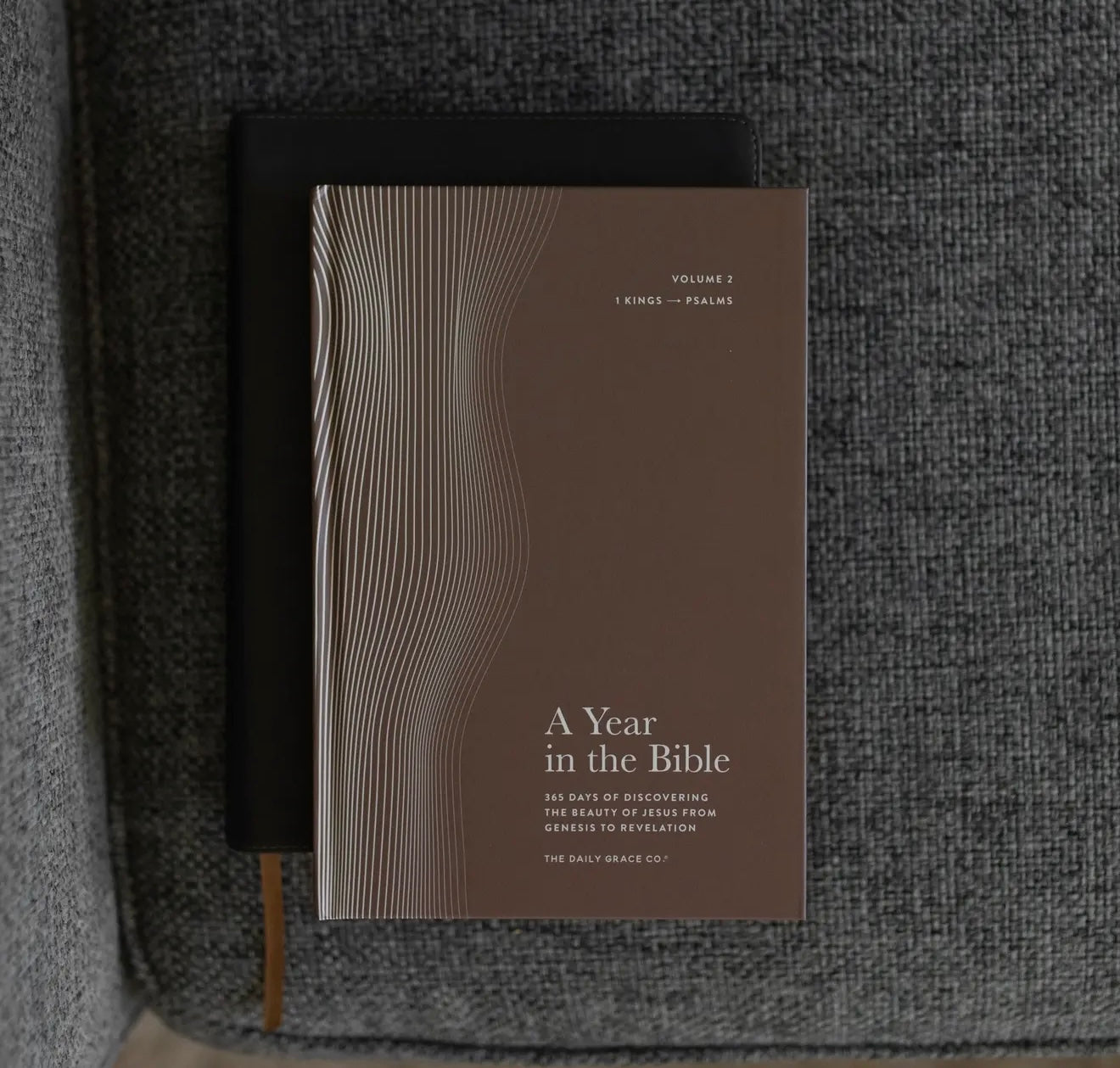 Daily Grace Co: A Year in the Bible: Mens Study