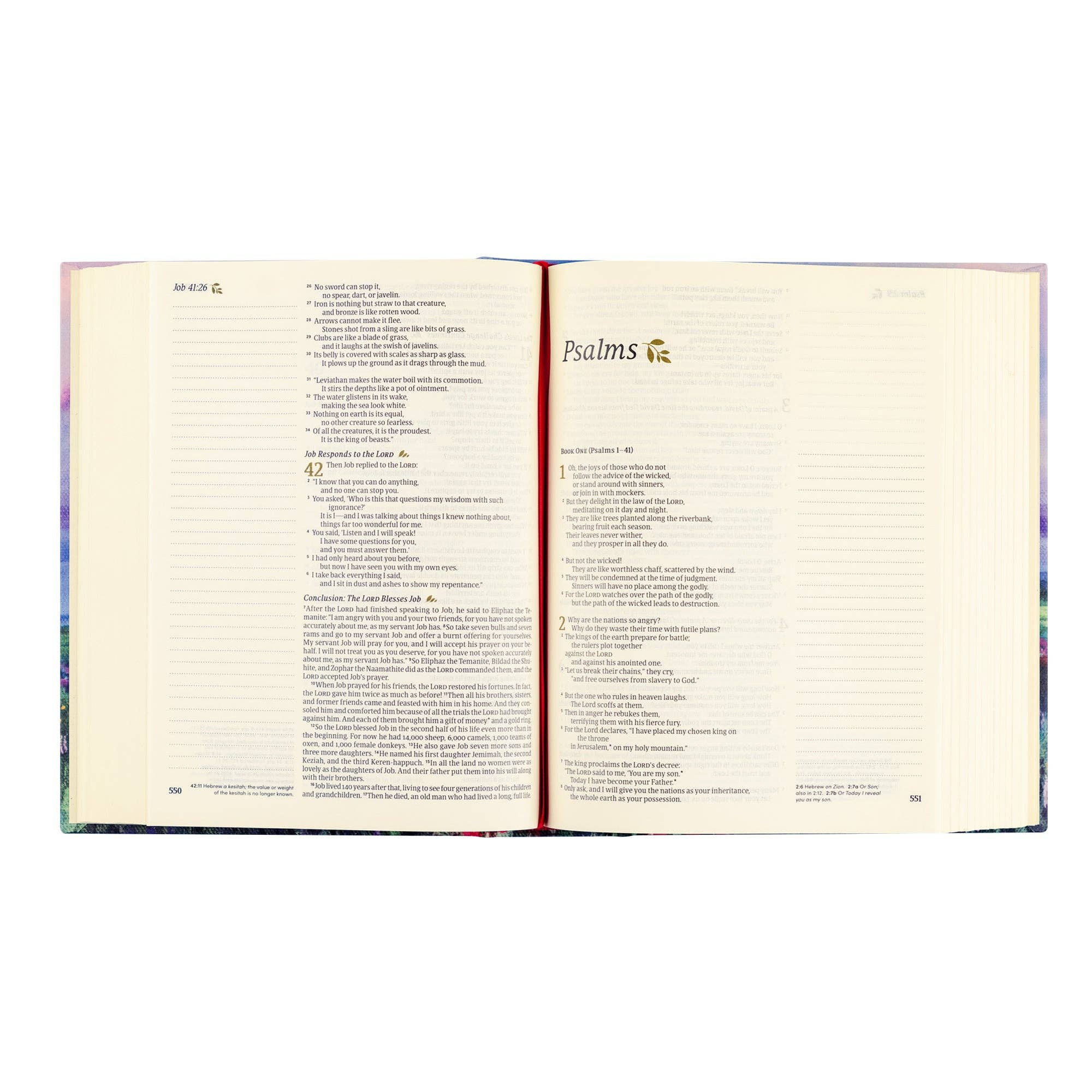 NLT Notetaking Bible: Cana Theme