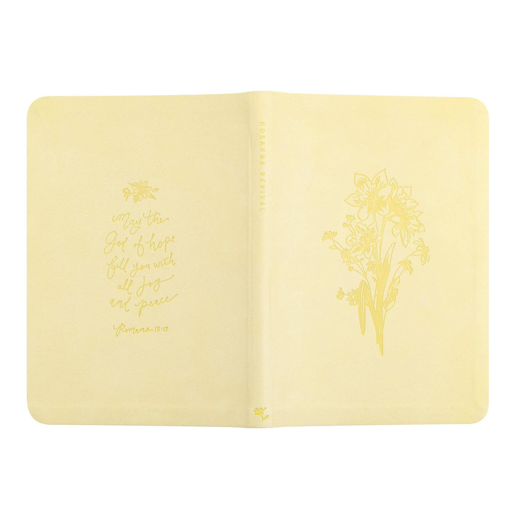 Notebook: Belfast Theme