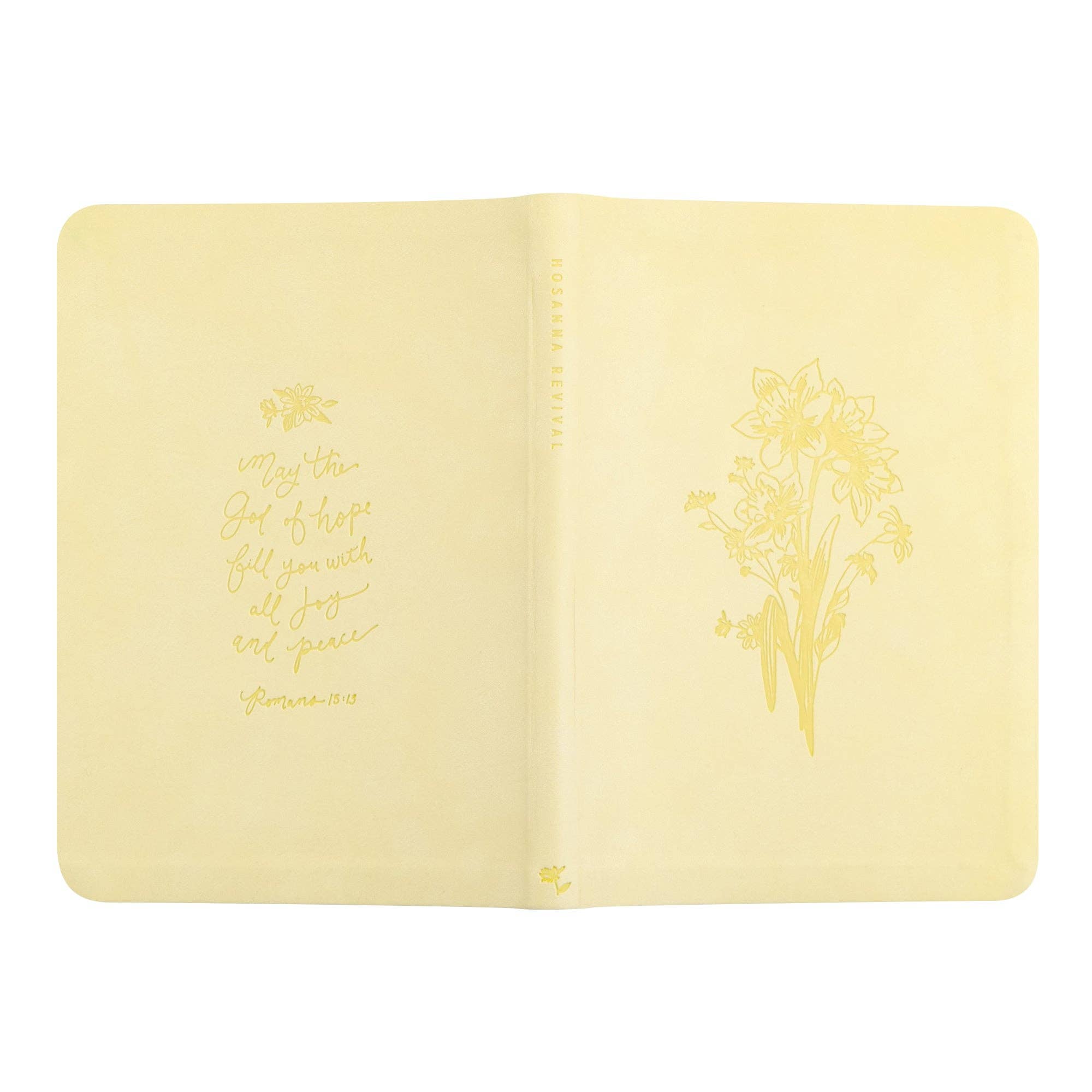 Notebook: Belfast Theme