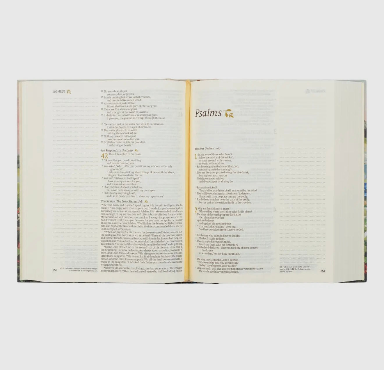 Hosanna NLT Notetaking Bible - Coram Theme