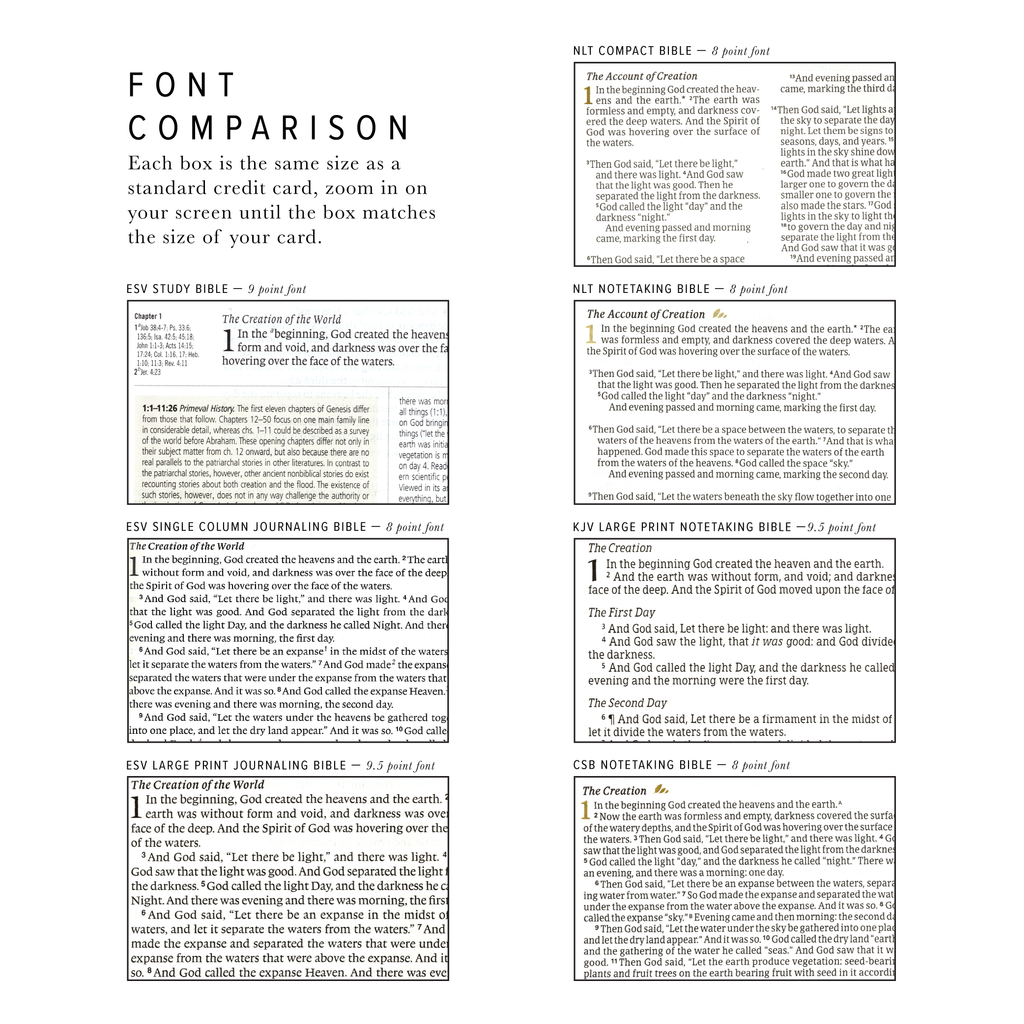 CSB Notetaking Bible: Rosedal Theme