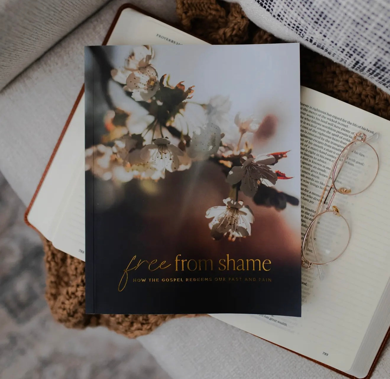 Daily Grace Co: Free From Shame