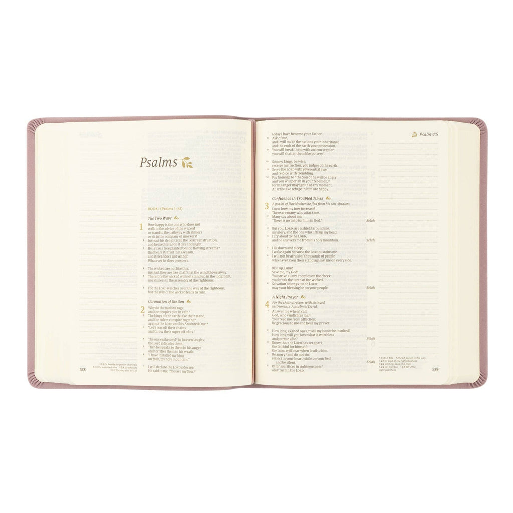 CSB Notetaking Bible: Mauves Theme