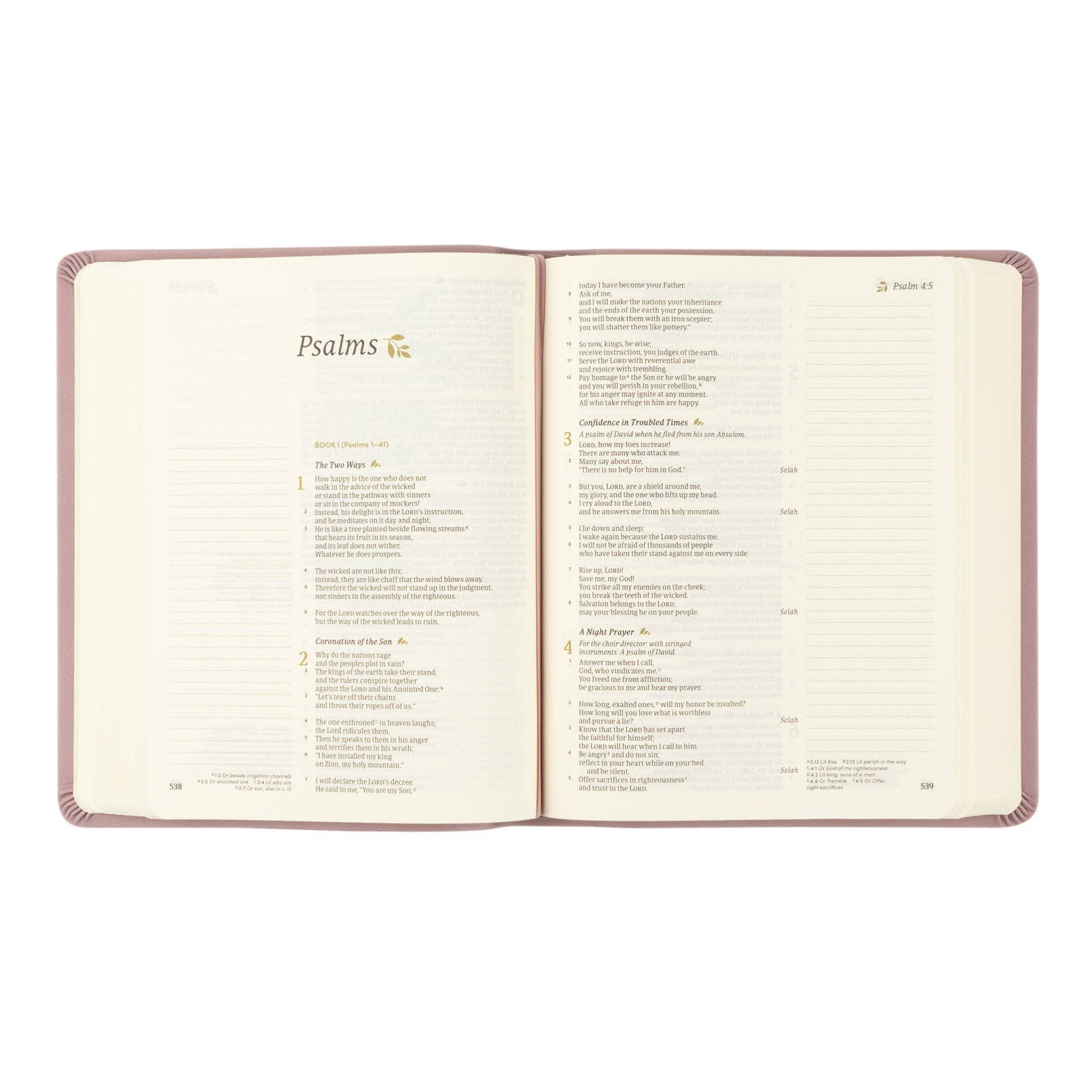 CSB Notetaking Bible: Mauves Theme