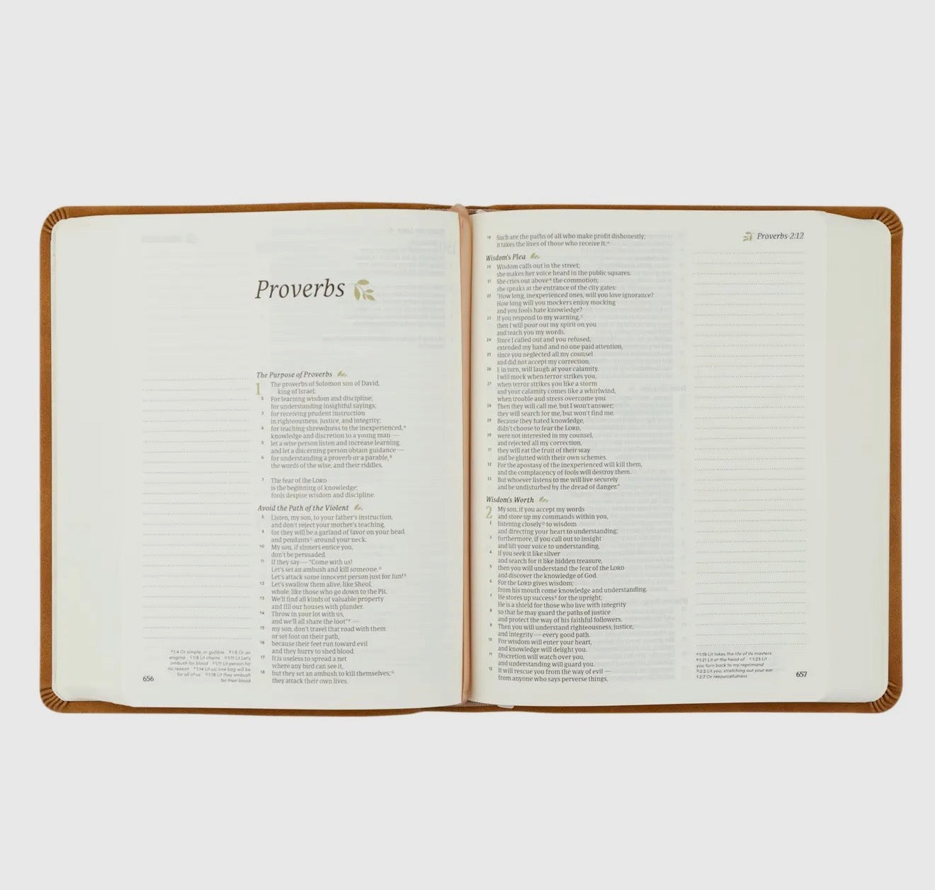 Hosanna Revival CSB Notetaking Bible - Amelia Theme