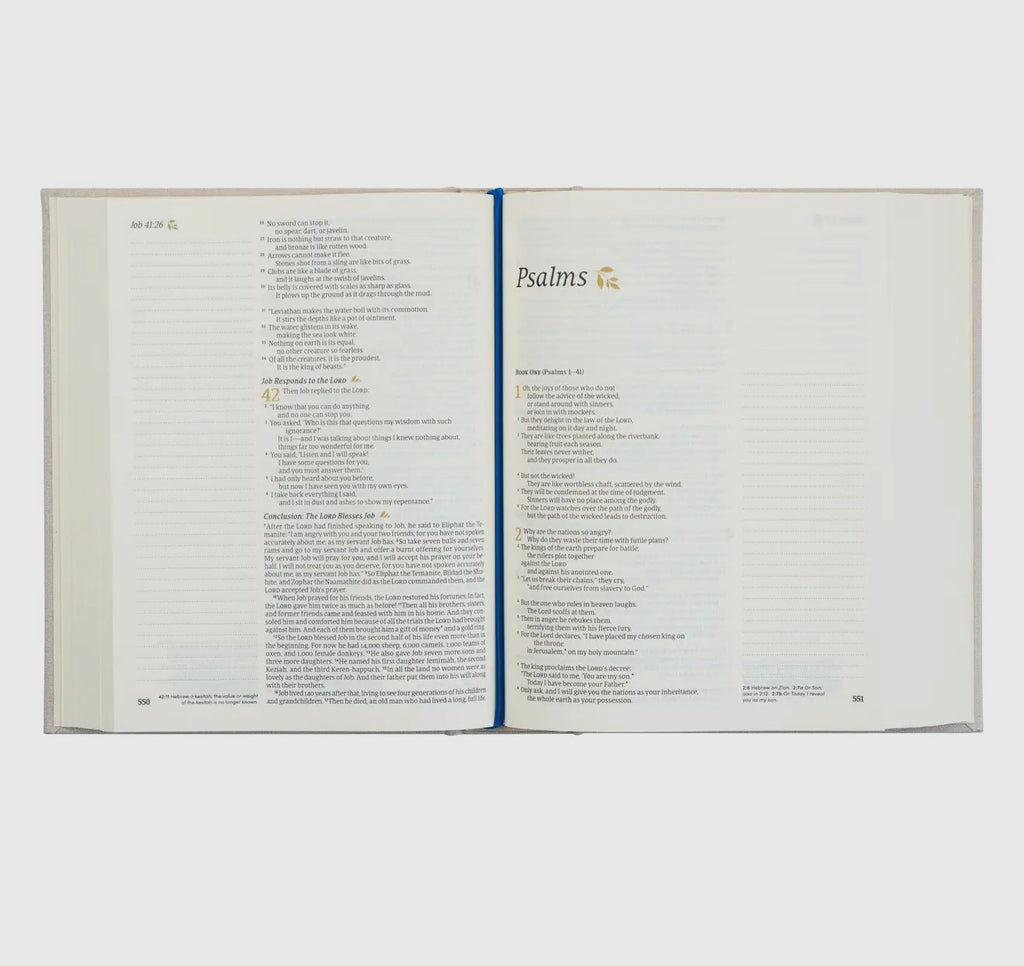 Hosanna NLT Notetaking Bible - Adelaide Theme