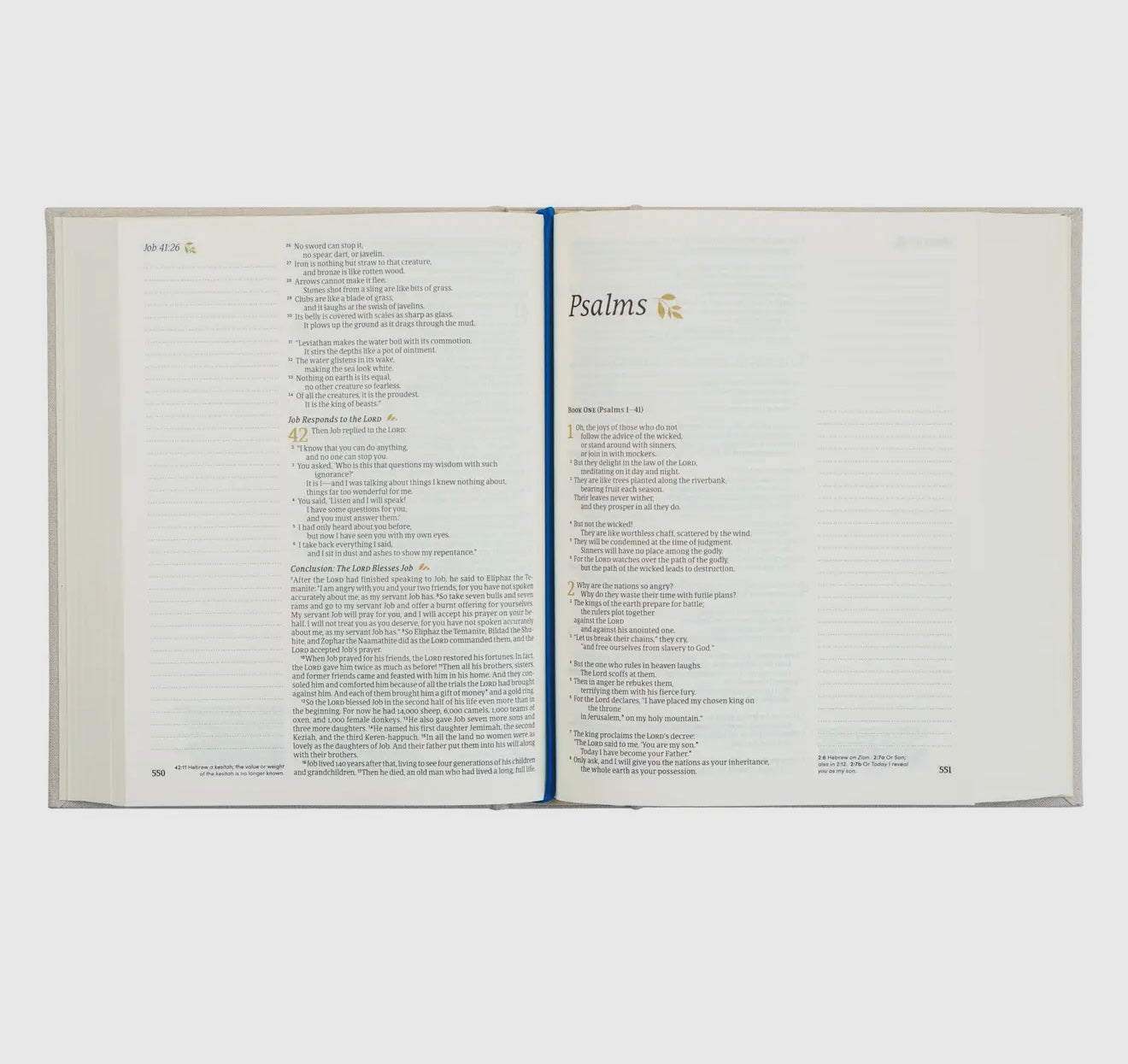 Hosanna NLT Notetaking Bible - Adelaide Theme