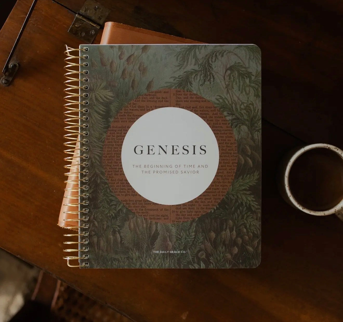 Daily Grace Co. Genesis
