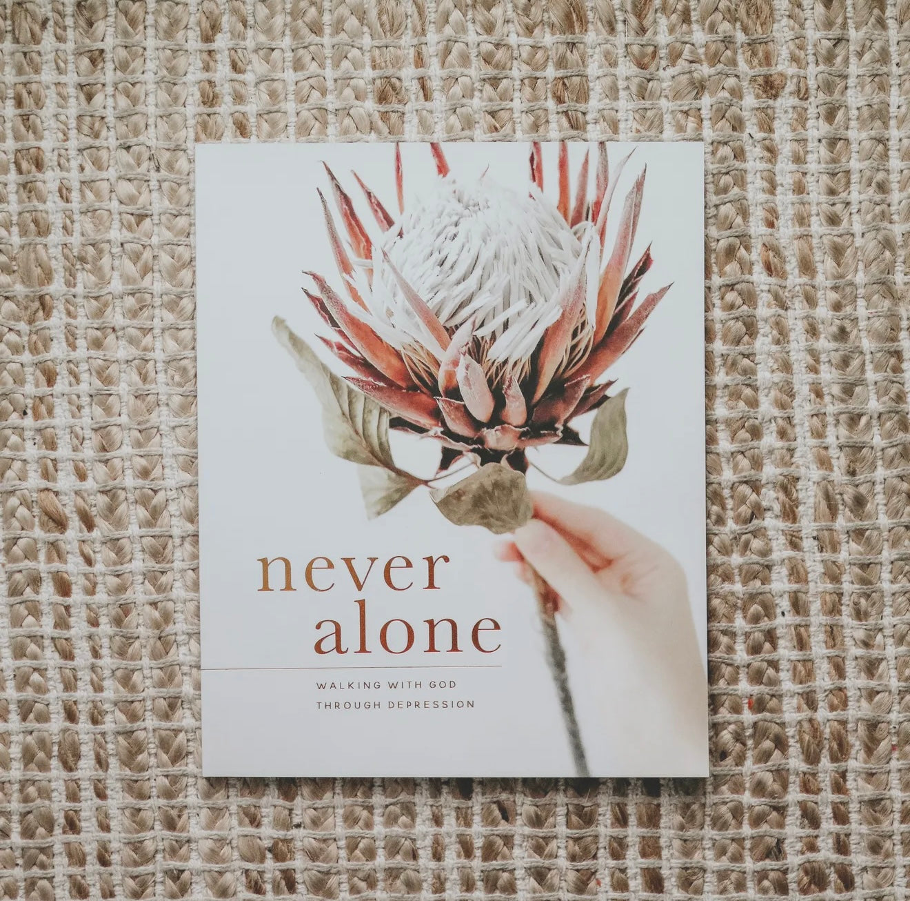 Daily Grace Co: Never Alone