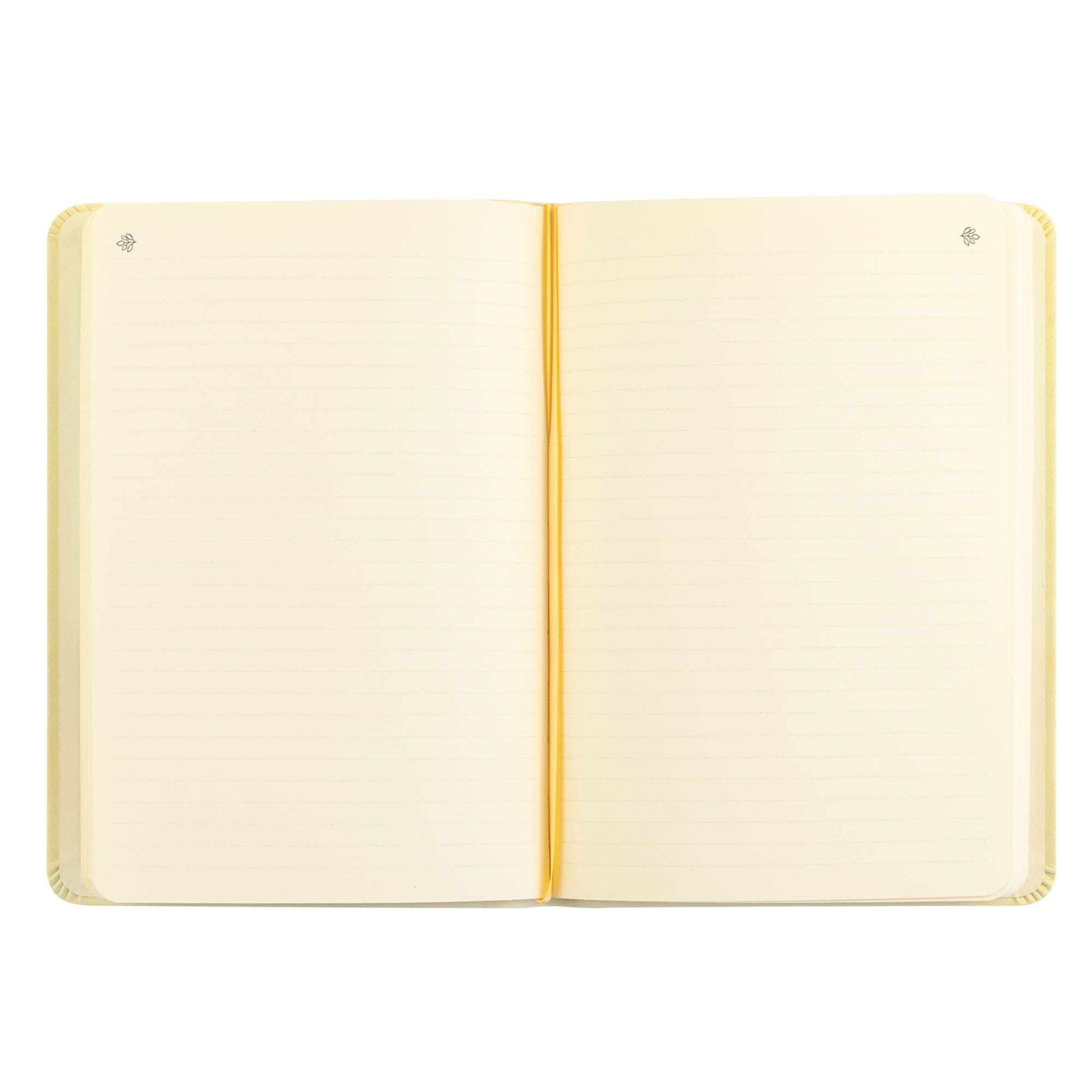 Notebook: Belfast Theme