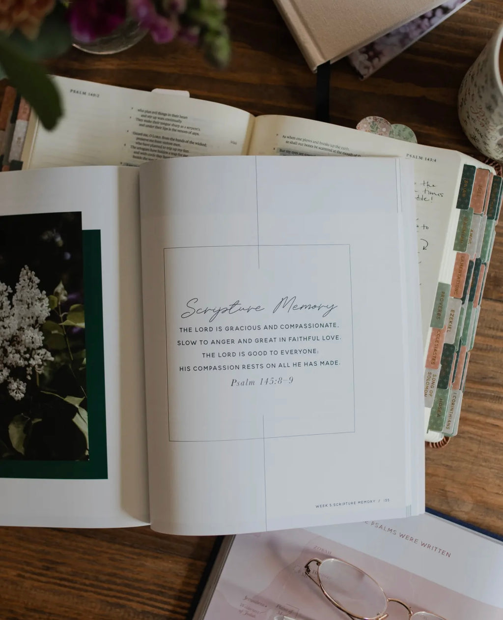 Daily Grace Co: Trust - A Walk Through Psalms