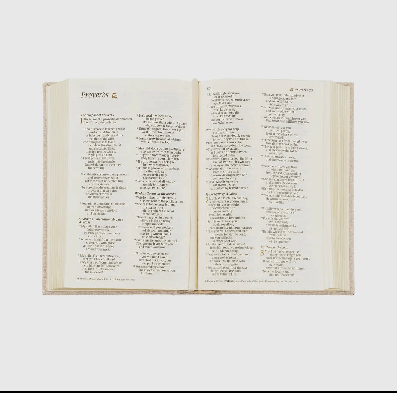 Hosanna NLT Compact Bible - Casablanca Theme