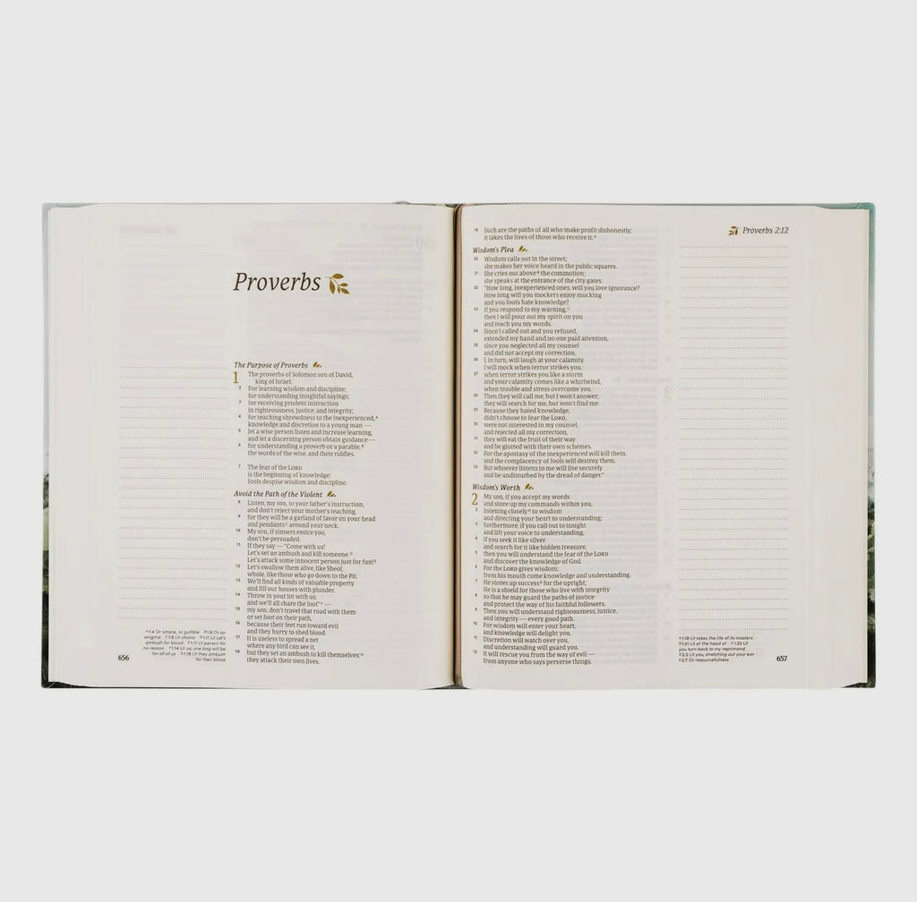 Hosanna CSB Notetaking Bible - Dublin Theme