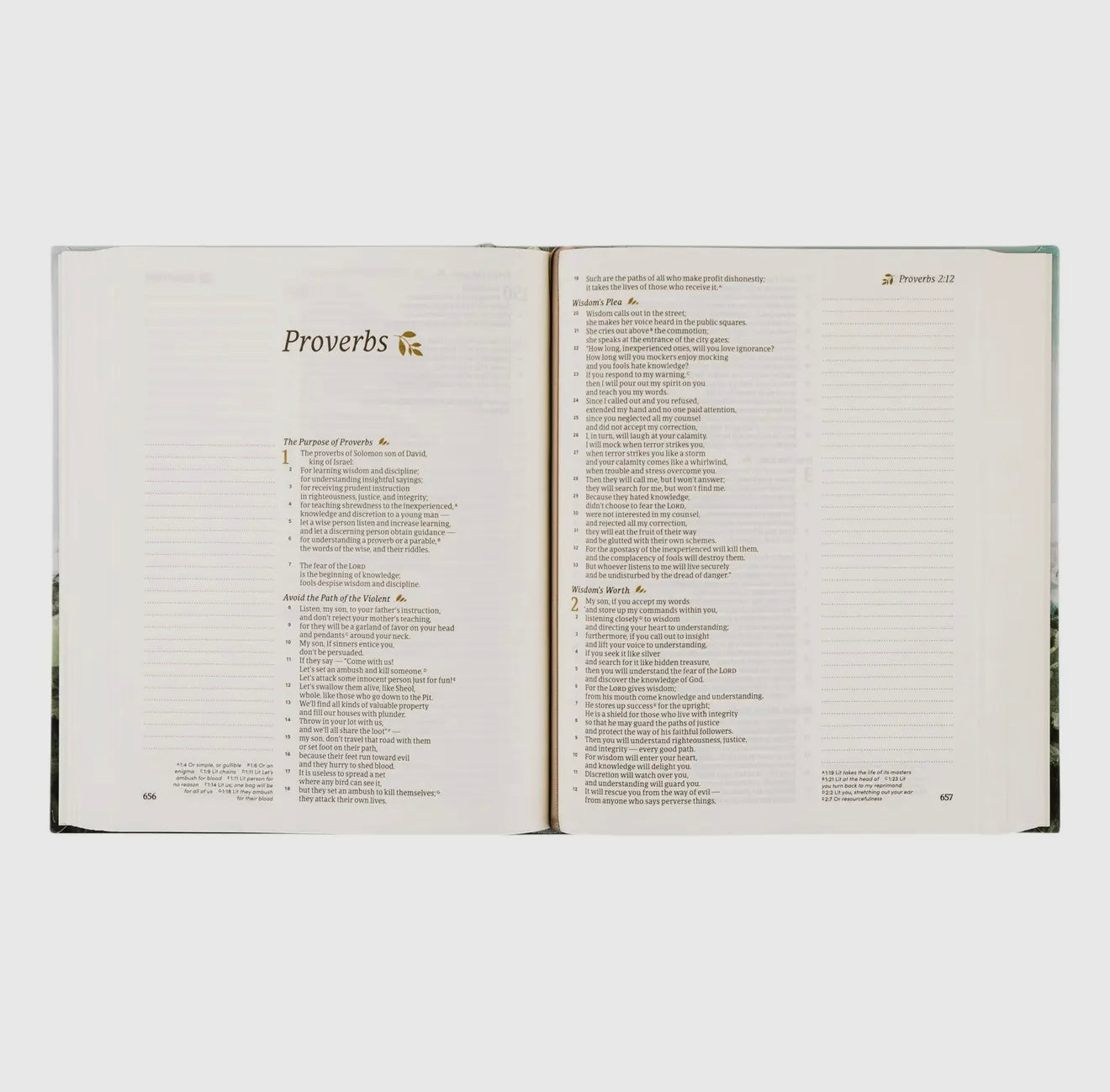 Hosanna CSB Notetaking Bible - Dublin Theme