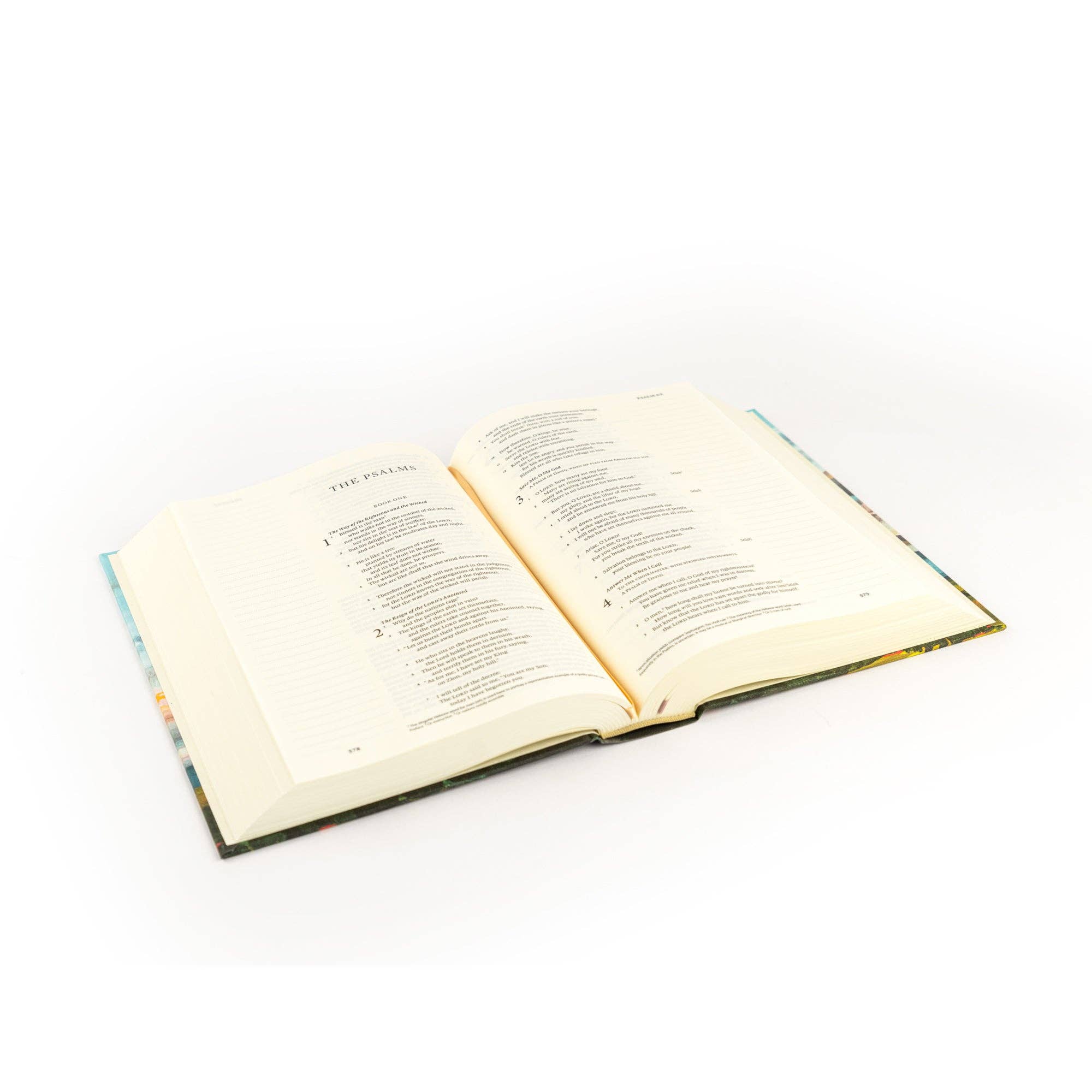 ESV Journaling Bible: Santa Lucia Theme