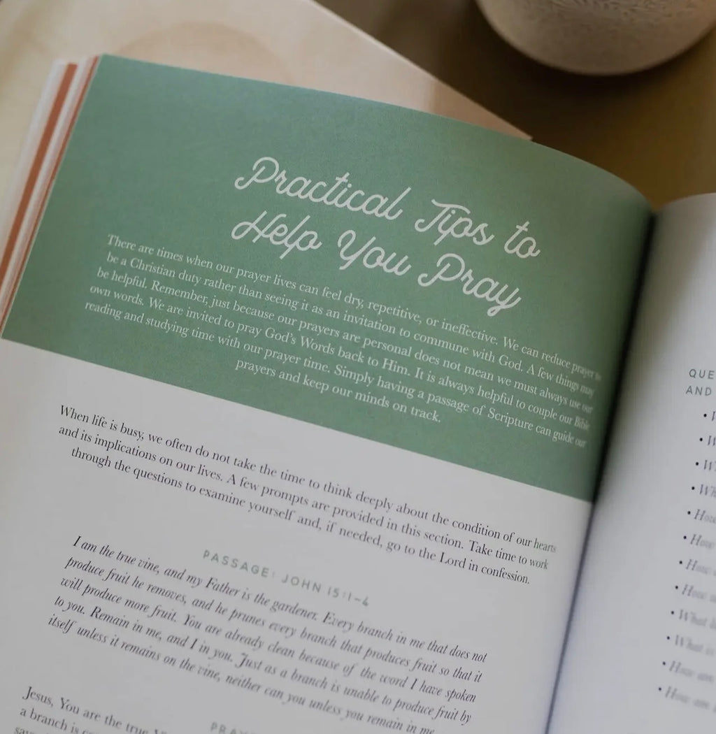 Daily Grace Co: Growing In Grace