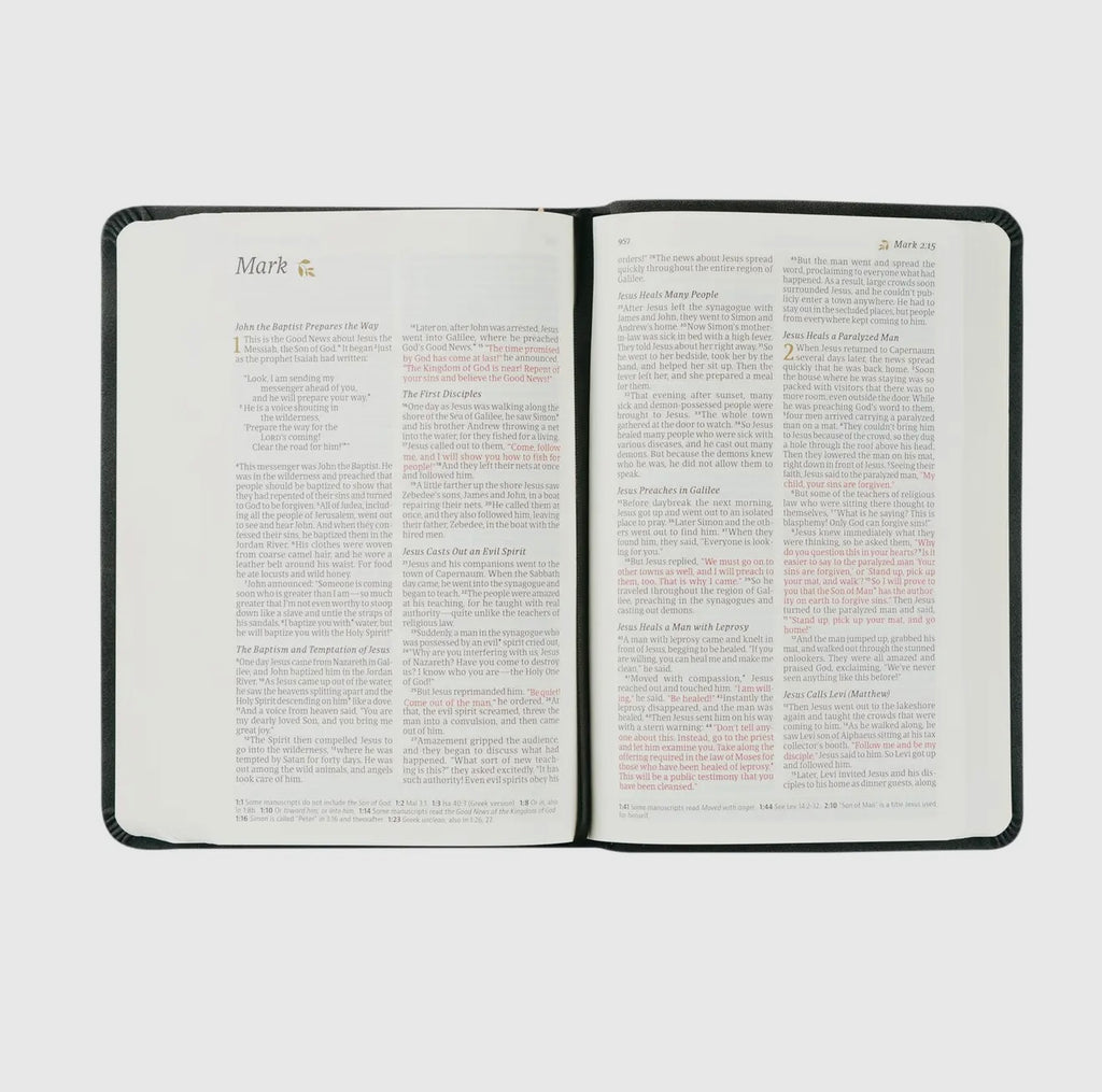 Hosanna NLT Compact Bible - Jerusalem Theme