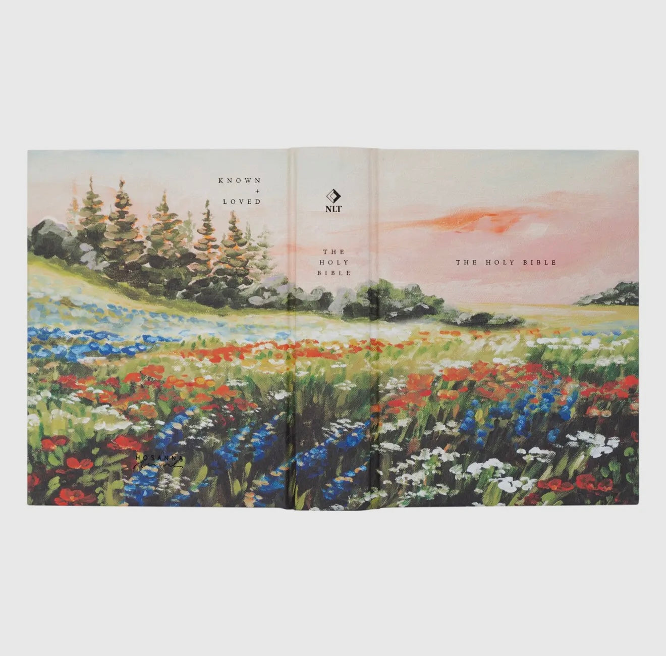 Hosanna NLT Notetaking Bible - Coram Theme