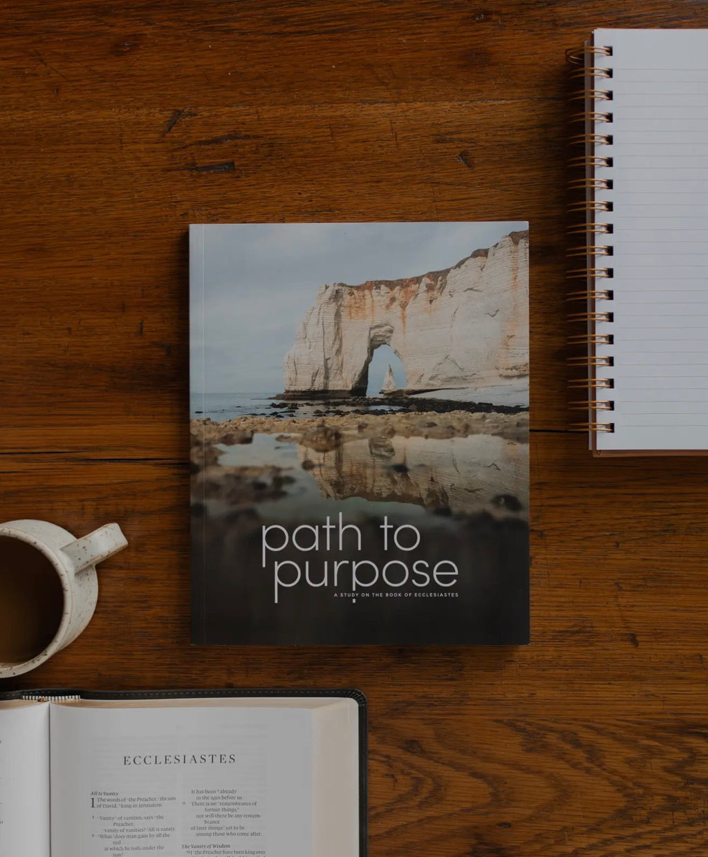 Daily Grace Co. Path To Purpose Men’s Study