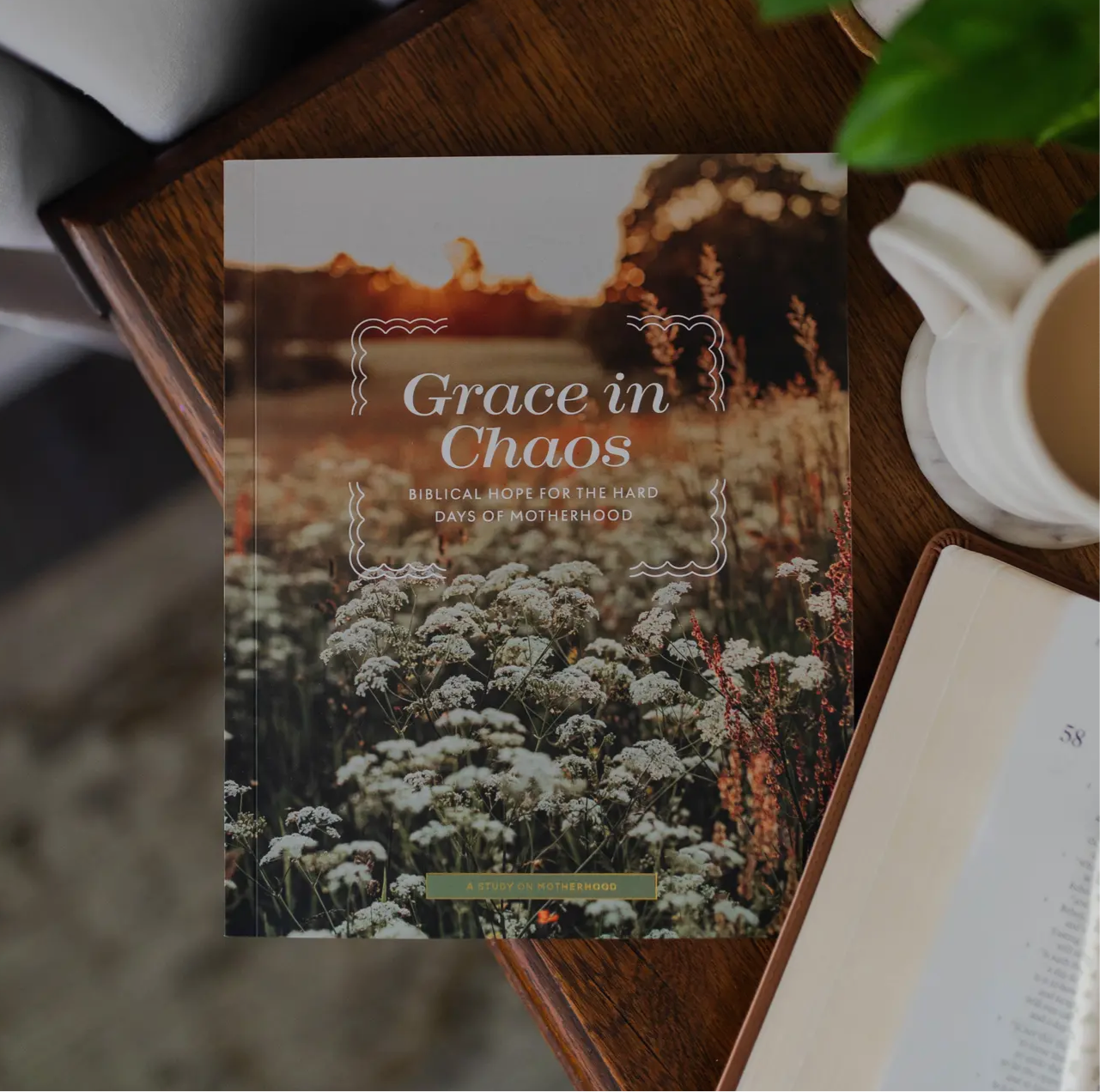 Daily Grace Co. Grace in Chaos Home for Hard Days of Motherhood