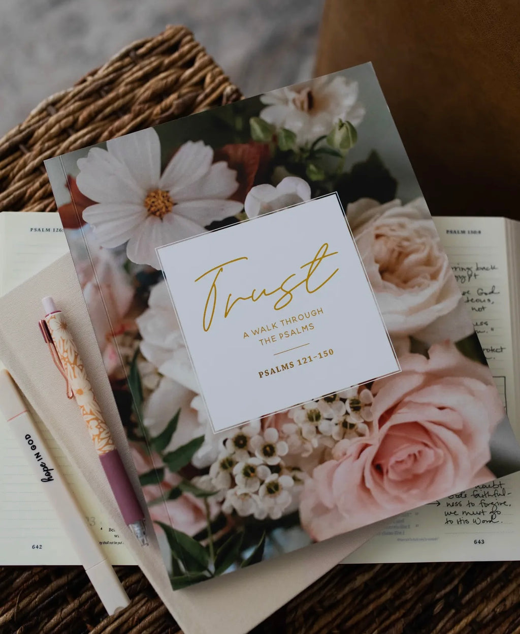 Daily Grace Co: Trust - A Walk Through Psalms