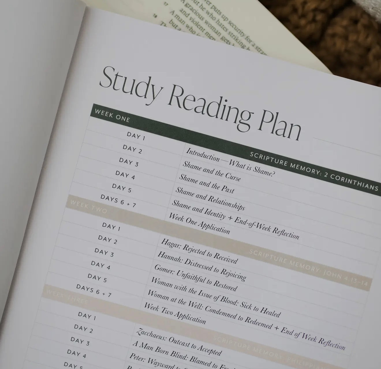 Daily Grace Co: Free From Shame