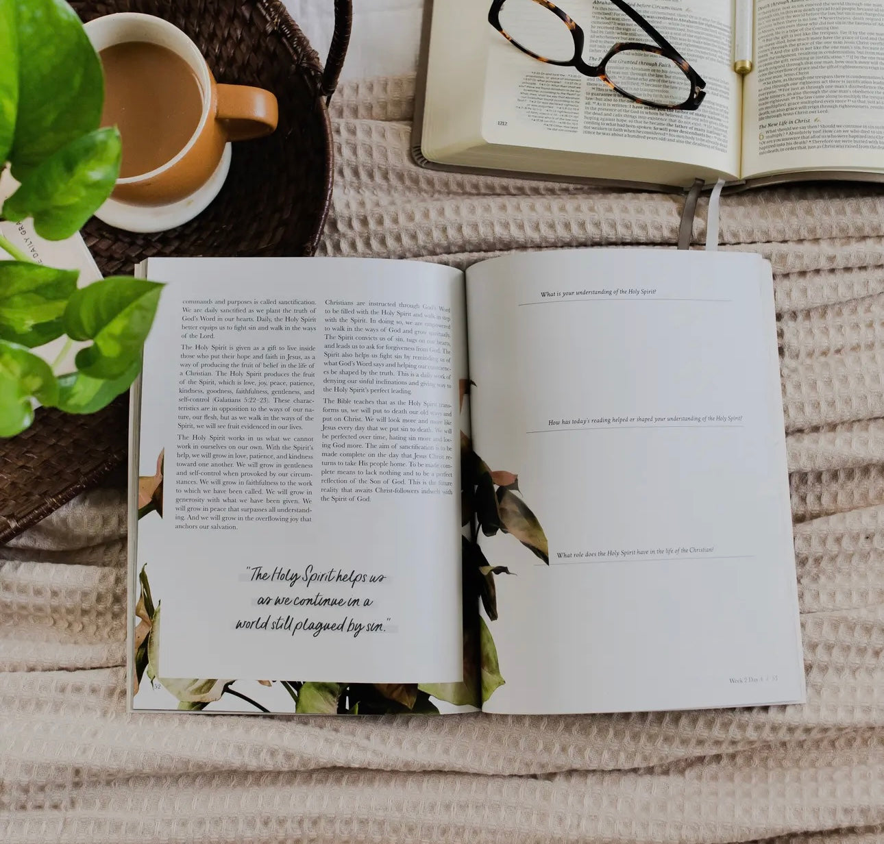 Daily Grace Co. Grace in Chaos Hope for Hard Days of Motherhood