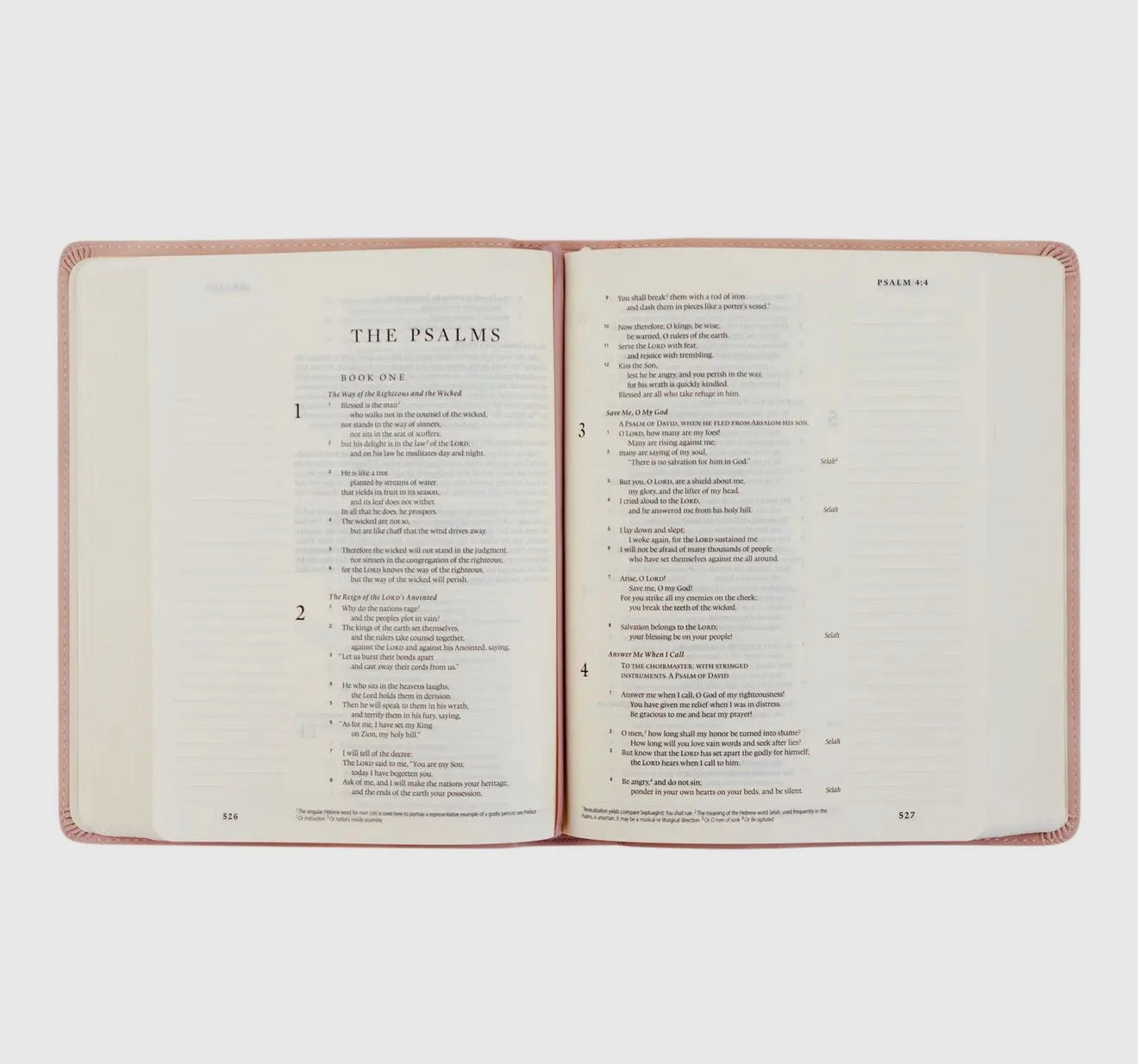 Hosanna Revival ESV Journaling Bible - Shiloh Theme