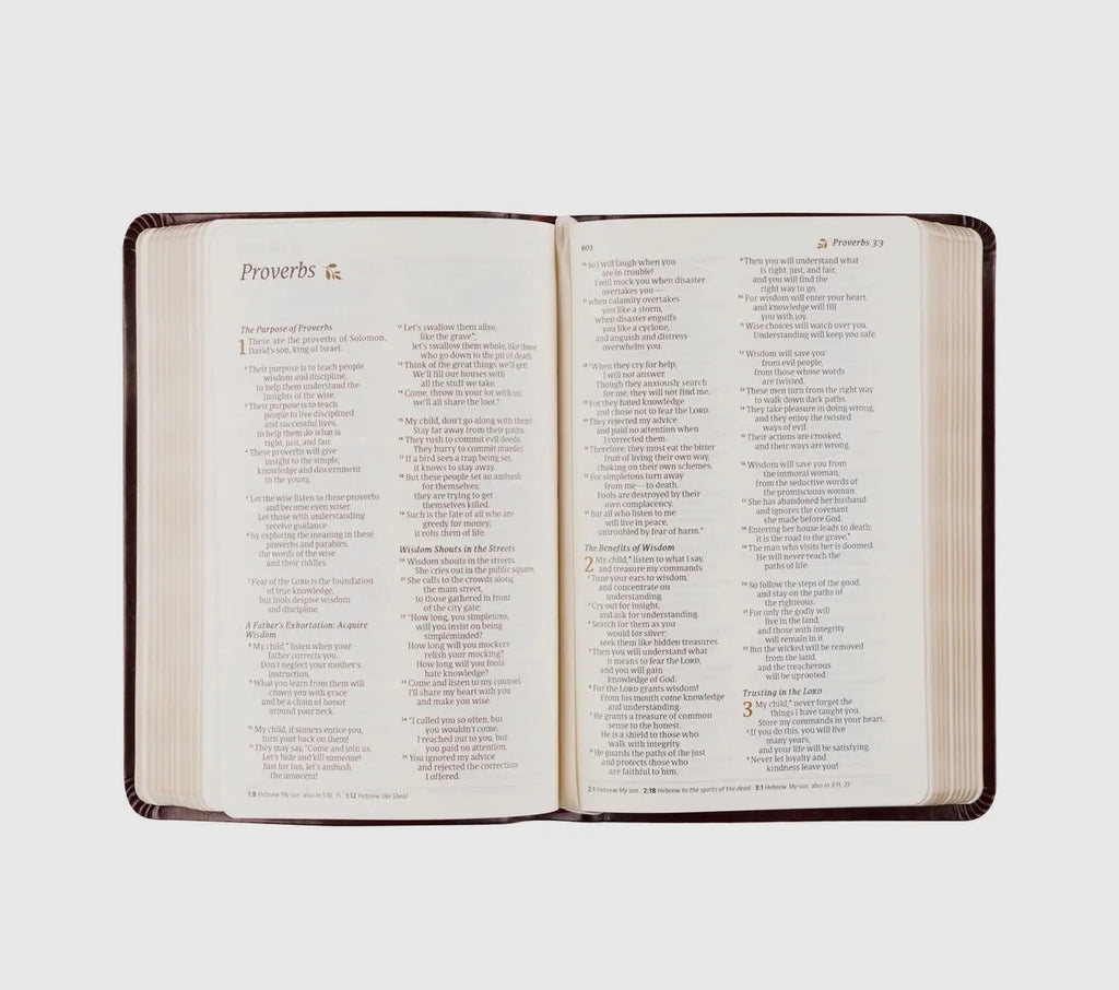 Hosanna Revival NLT Compact Bible - Yorkshire Theme