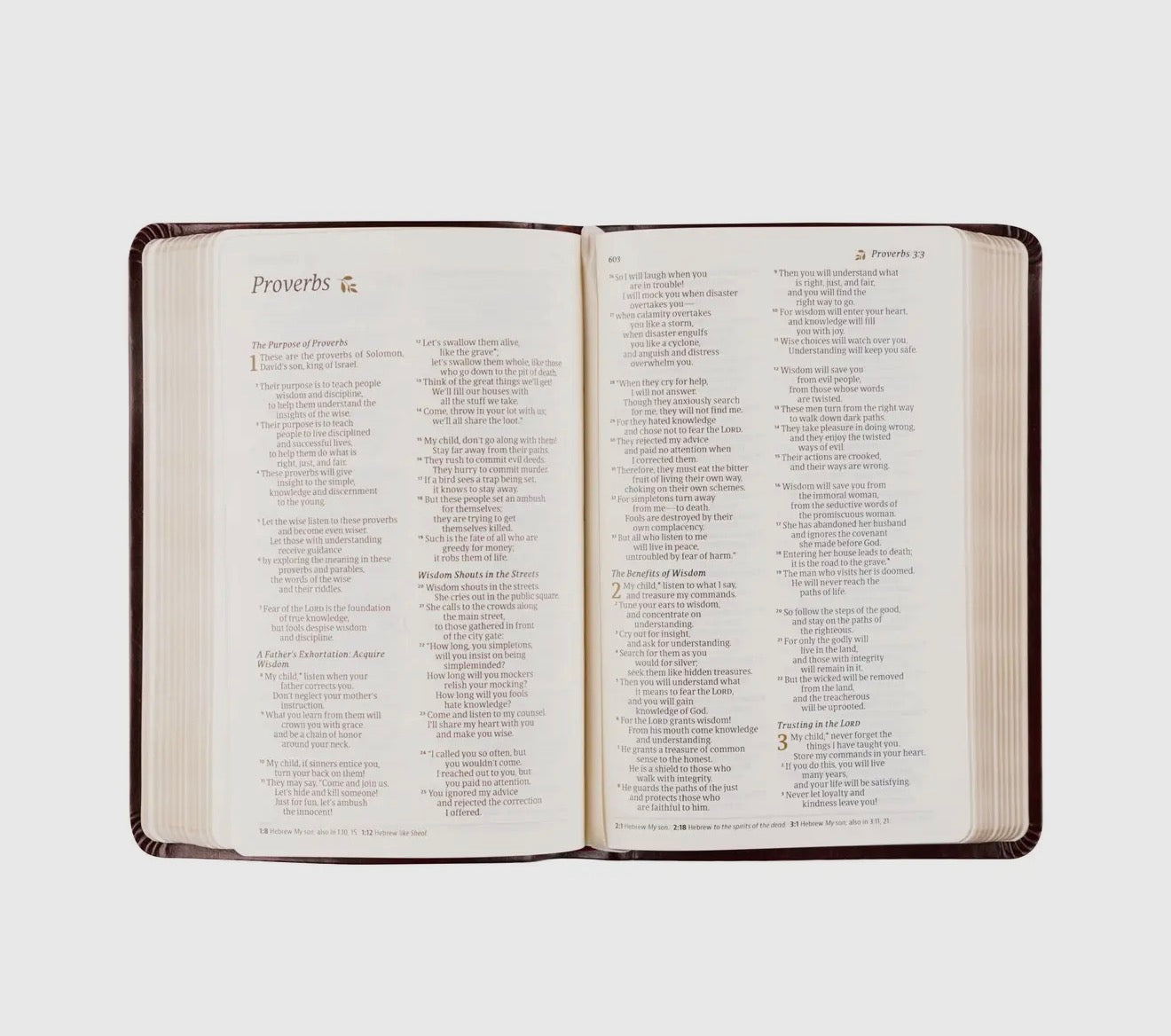 Hosanna Revival NLT Compact Bible - Yorkshire Theme