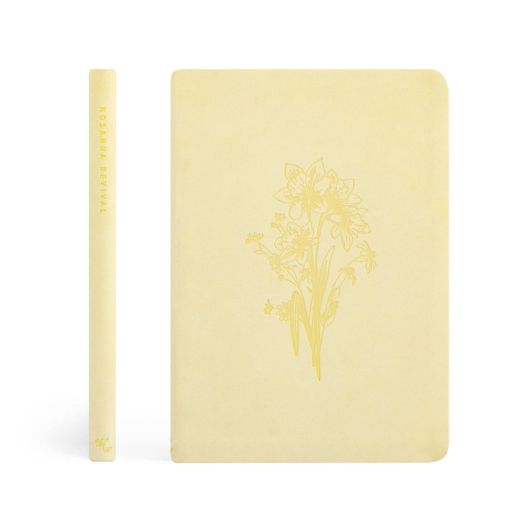 Notebook: Belfast Theme