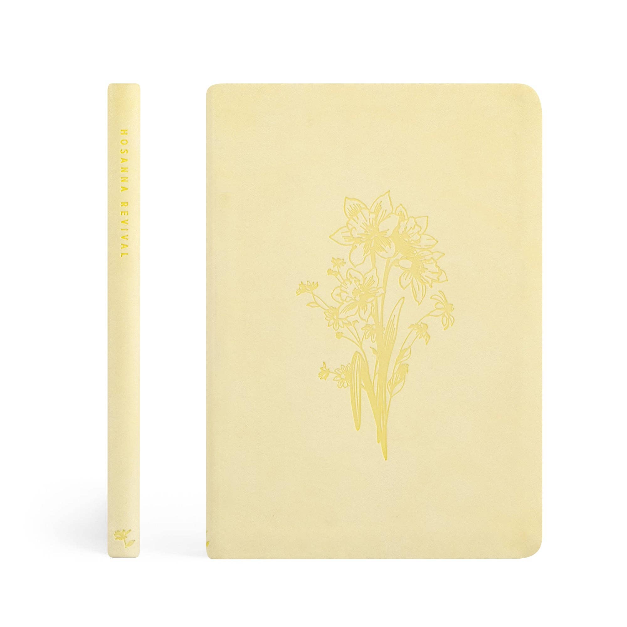Notebook: Belfast Theme