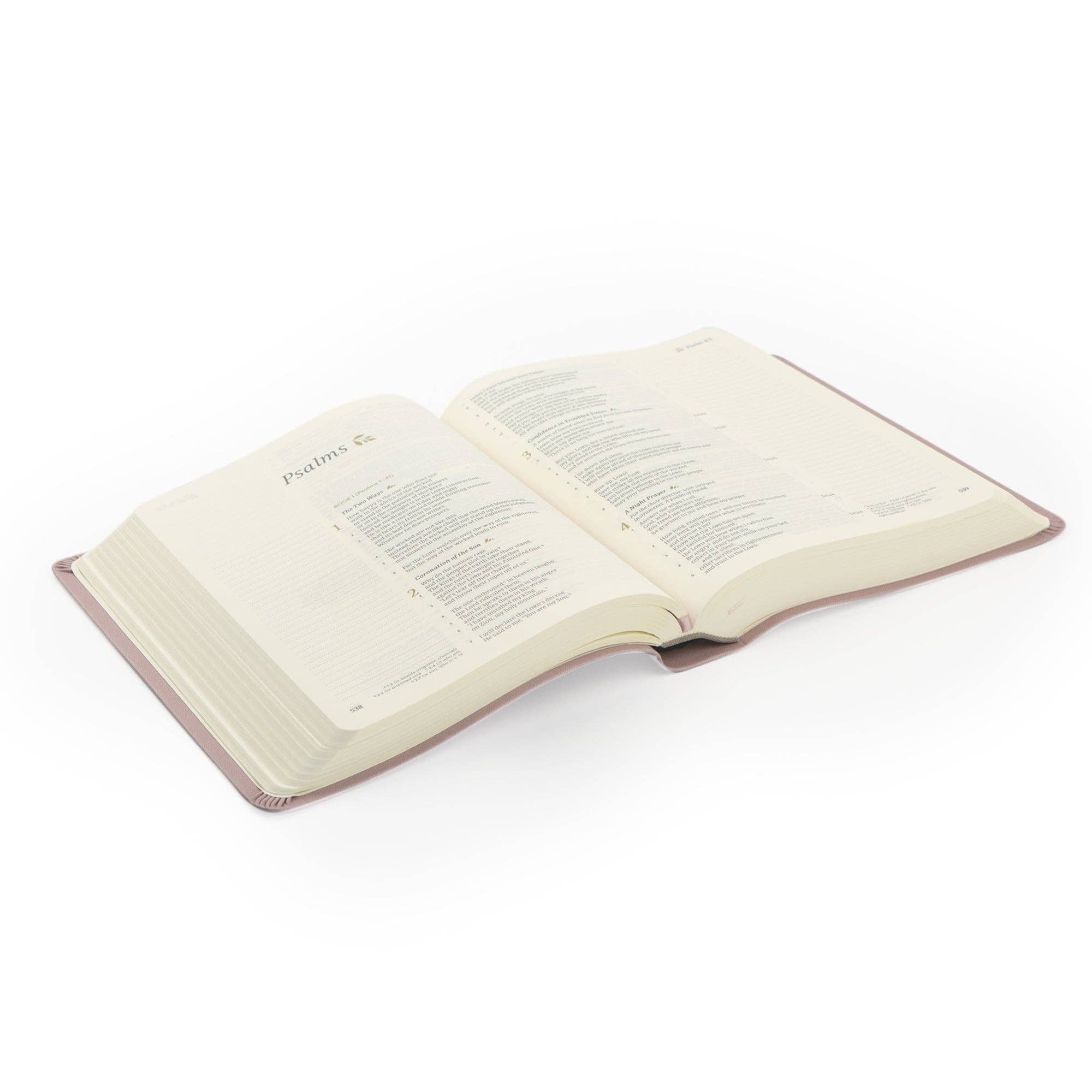 CSB Notetaking Bible: Mauves Theme