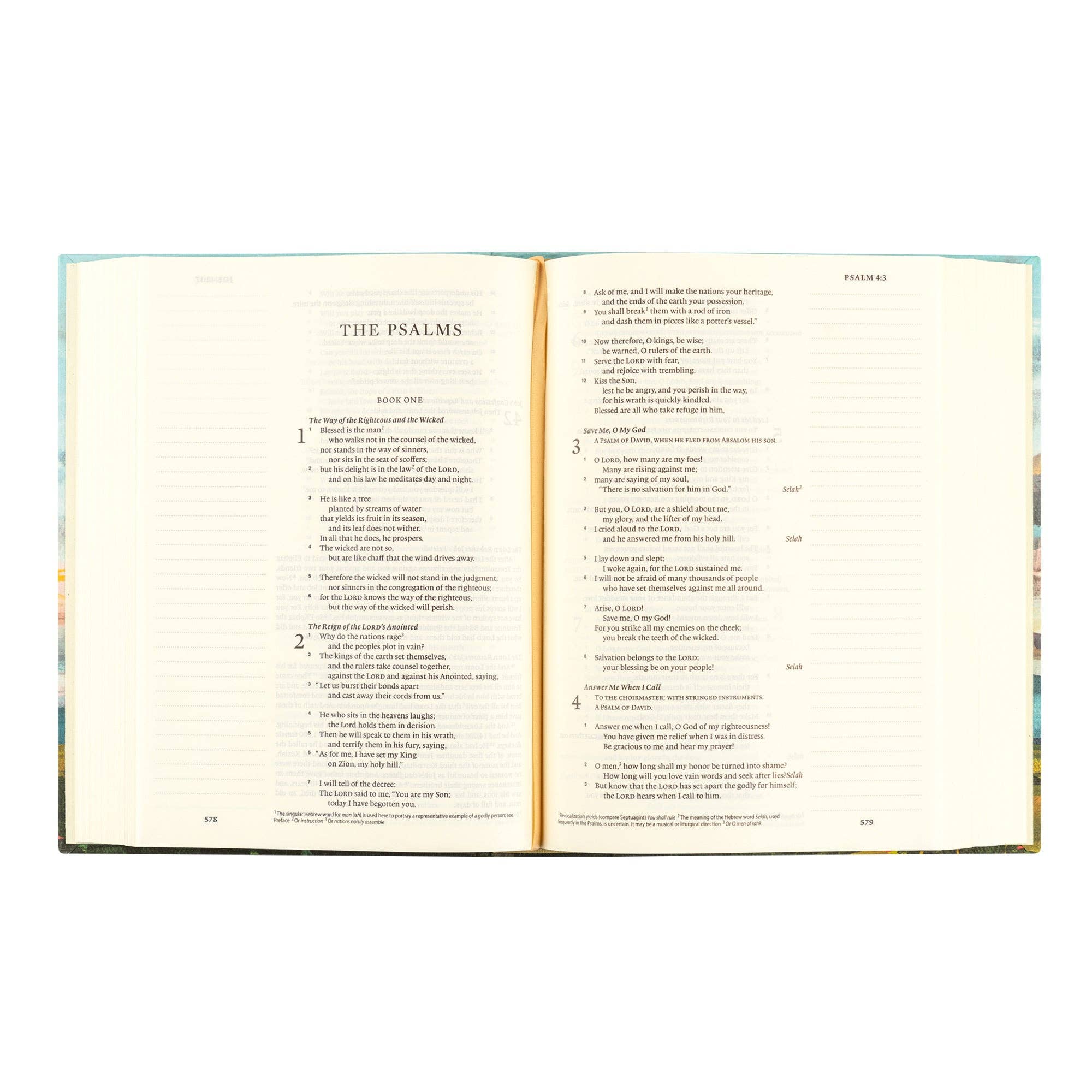 ESV Journaling Bible: Santa Lucia Theme